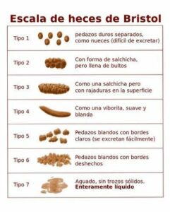 Cacas